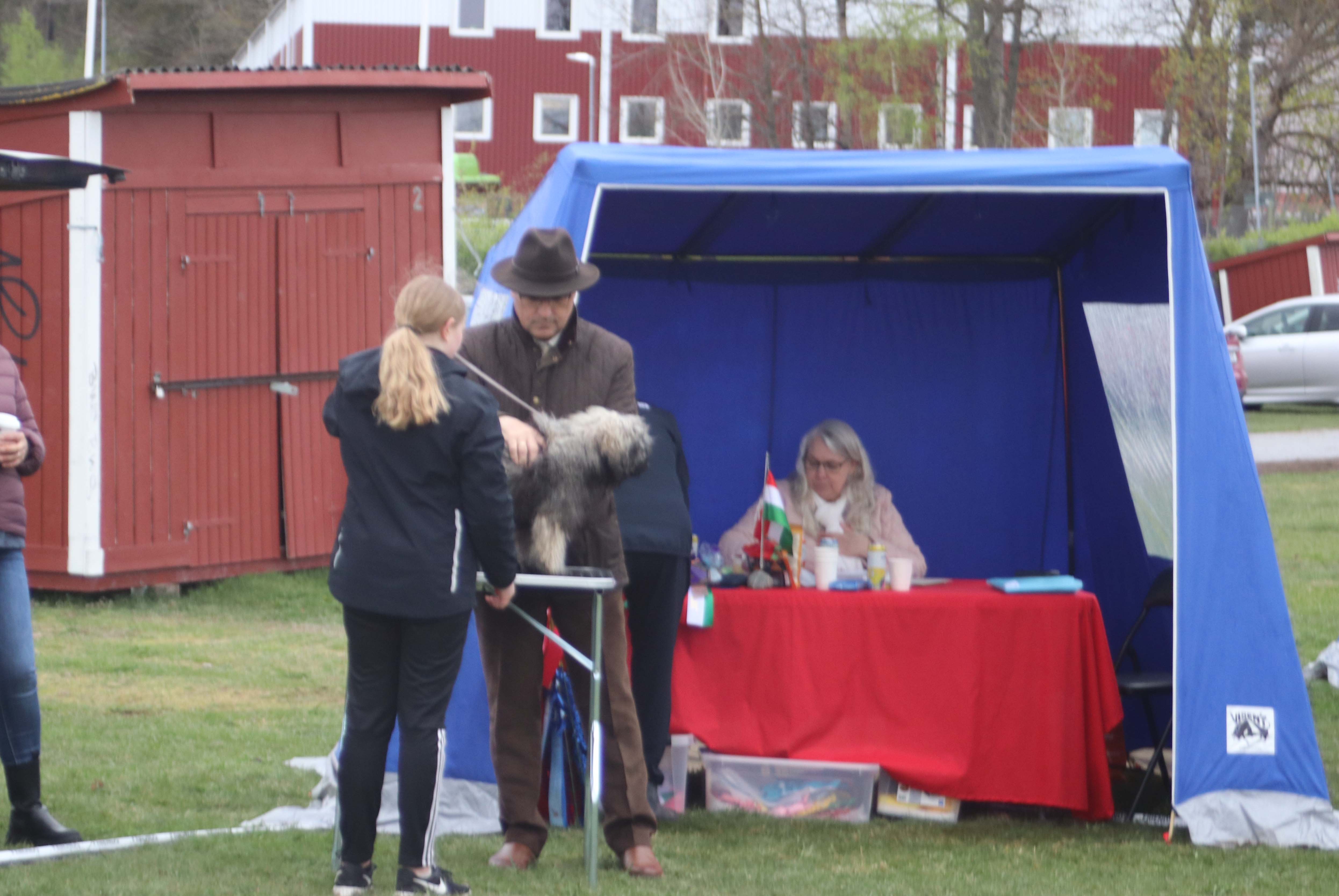 14 Mångsta's Vera Flugandotter